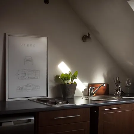 Διαμέρισμα Attic Studio 2 Παρνού